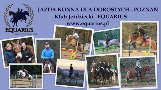 Profesjonalna nauka jazdy konnej dla dorosłych (Poznań - Morasko)