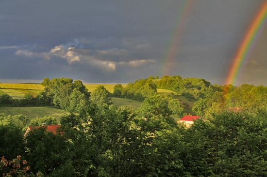 Dochodowy biznes - współpraca.